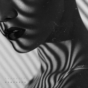 国产美女无遮挡免费视频
